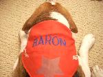 baron2